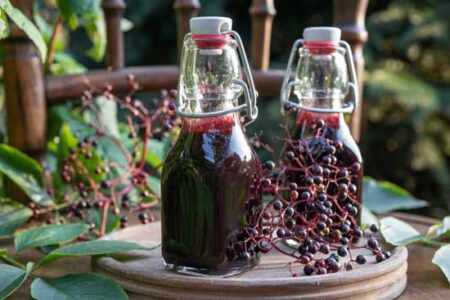 Mother Earth News Elderberry Webinar Friday, April 24! Image